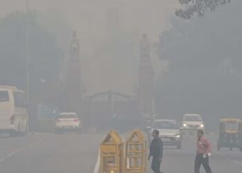 "दिल्ली का AQI 500 पार हुआ, यमुना में है प्रदूषण की बहार, धन्यवाद केजरीवाल सरकार": बीजेपी