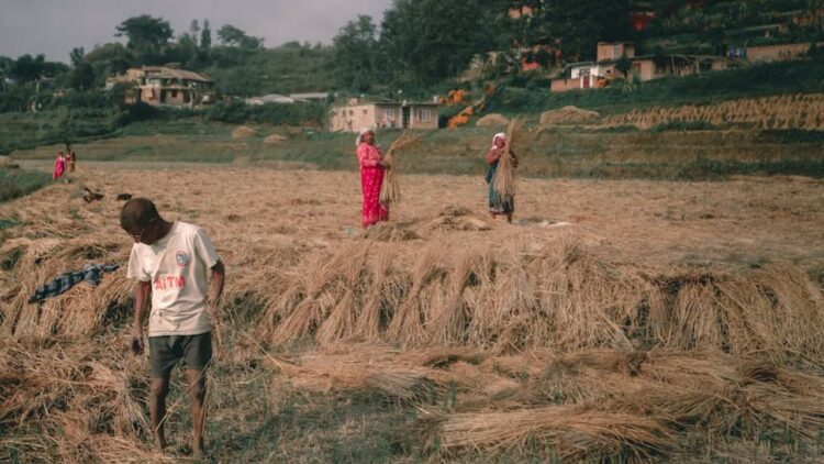 धान की भूसी बायोगैस प्रौद्योगिकी का व्यावसायीकरण करने के लिए पीएयू ने गुजरात और महाराष्ट्र की फर्मों के साथ साझेदारी की