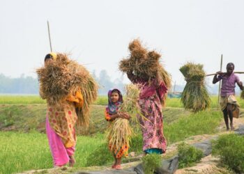 राष्ट्रीय किसान दिवस 2024: भारत के किसानों को सशक्त बनाने वाली शीर्ष सरकारी योजनाएँ