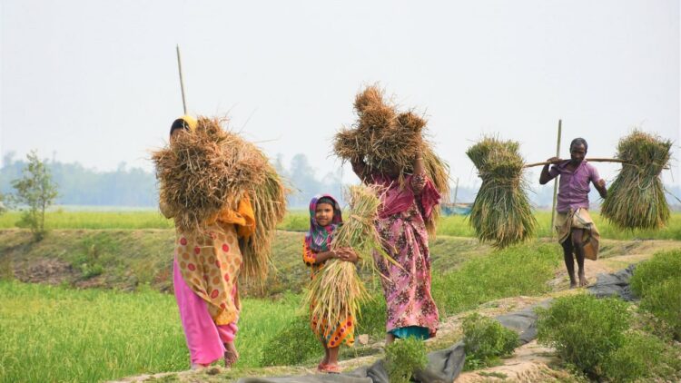 राष्ट्रीय किसान दिवस 2024: भारत के किसानों को सशक्त बनाने वाली शीर्ष सरकारी योजनाएँ