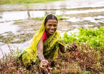 राष्ट्रीय किसान दिवस: समृद्ध कल के लिए भारतीय किसानों को सशक्त बनाना