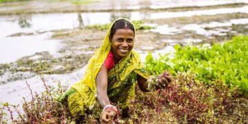 राष्ट्रीय किसान दिवस: समृद्ध कल के लिए भारतीय किसानों को सशक्त बनाना