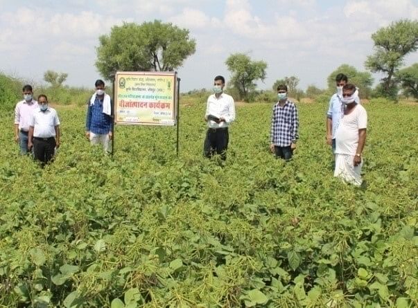 बीज हब के माध्यम से मूंग की उन्नत किस्मों को बढ़ावा देना