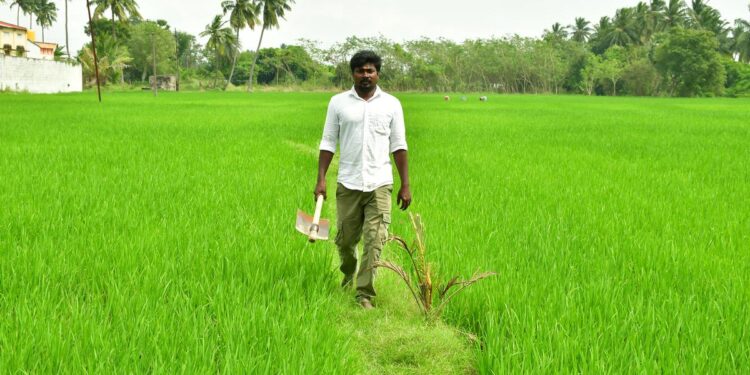 तमिलनाडु के युवा जैविक किसान नई राह बनाते हैं