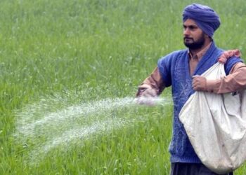 पंजाब सरकार ने कृषि विपणन पर केंद्र की मसौदा नीति को खारिज कर दिया