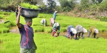 पीएम-किसान के लिए आगे का रास्ता