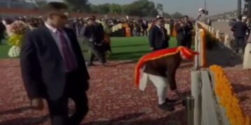 पीएम मोदी ने कार्ताव्य पथ गणराज्य दिवस समारोह में कचरा उठाया, स्वच्छ भारत प्रतिबद्धता का प्रदर्शन किया घड़ी