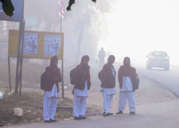 शीतलहर और कोहरे के कारण इन राज्यों में स्कूल बंद, जानिए कब से शुरू होंगी कक्षाएं