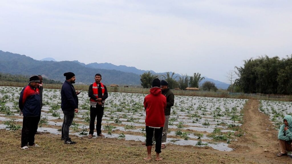 ओलावृष्टि ने धमाजी, असम में 30 बीघों की फसलों को नष्ट कर दिया, किसानों को वित्तीय संकट में छोड़ दिया