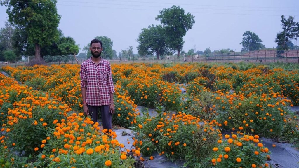 छत्तीसगढ़ किसान पारंपरिक फसलों से फ्लोरिकल्चर में बदल जाता है, जो कि मैरीगोल्ड और ग्लैडियोलस की खेती से सालाना 15-20 लाख रुपये कमाता है