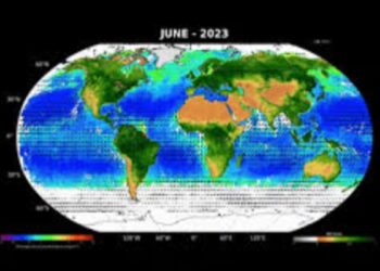 ISRO का EOS-06 सैटेलाइट वैश्विक स्तर पर फाइटोप्लांकटन एकाग्रता को कैप्चर करता है