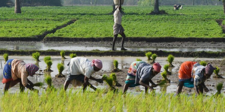 कर्नाटक के लिए Nabard प्रोजेक्ट्स प्राथमिकता सेक्टर क्रेडिट पोटेंशियल ₹ 4 .47 लाख करोड़