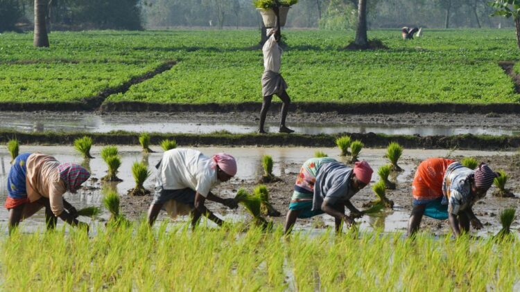 कर्नाटक के लिए Nabard प्रोजेक्ट्स प्राथमिकता सेक्टर क्रेडिट पोटेंशियल ₹ 4 .47 लाख करोड़