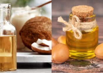 नारियल तेल के लिए Argan तेल: चेहरे की मालिश के लिए 5 सबसे अच्छा तेल, अद्भुत त्वचा लाभों को जानें