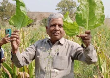 महाराष्ट्र के किसान प्राकृतिक खेती के साथ कृषि में क्रांति लाते हैं, सालाना 1 करोड़ लीटर वर्षा जल का संरक्षण करते हैं, पद्म श्री जीतता है