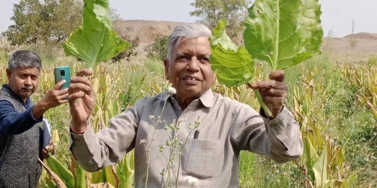 महाराष्ट्र के किसान प्राकृतिक खेती के साथ कृषि में क्रांति लाते हैं, सालाना 1 करोड़ लीटर वर्षा जल का संरक्षण करते हैं, पद्म श्री जीतता है