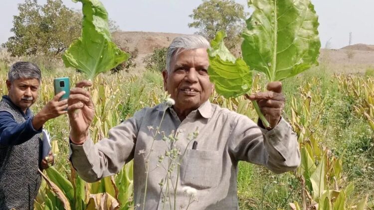 महाराष्ट्र के किसान प्राकृतिक खेती के साथ कृषि में क्रांति लाते हैं, सालाना 1 करोड़ लीटर वर्षा जल का संरक्षण करते हैं, पद्म श्री जीतता है