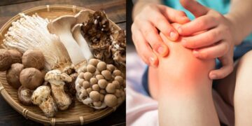 विटामिन डी से भरपूर मशरूम कैल्शियम की कमी को दूर करने में मदद कर सकते हैं, उपभोग करने के तरीके जान सकते हैं