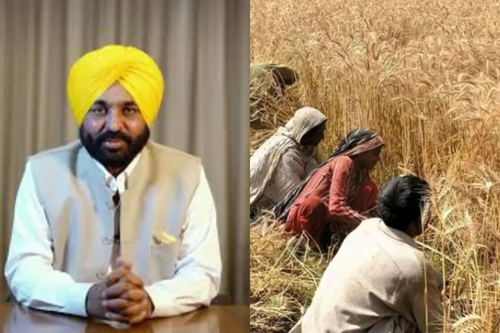 पंजाब न्यूज: किसानों के तहत किसान समृद्ध मान सरकार! गेहूं की खरीद के लिए भुगतान 24 घंटे के भीतर जारी किया जा रहा है