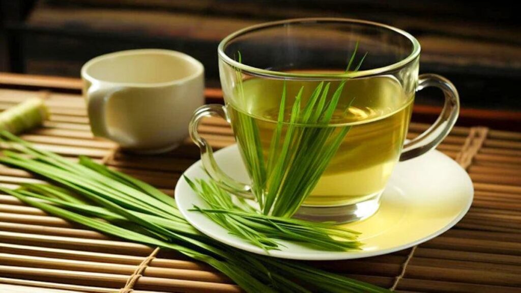 Lemongrass चाय सभी के लिए फायदेमंद नहीं है; पता है कि इसे उपभोग करने से कौन बचना चाहिए