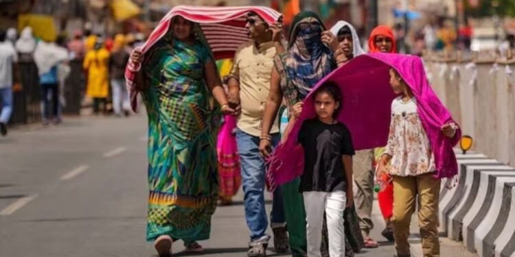 बारिश के बाद, IMD उत्तर भारत में दिल्ली-एनसीआर में हीटवेव की भविष्यवाणी करता है पूर्वानुमान की जाँच करें