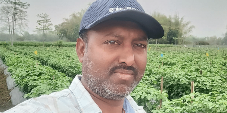 असम किसान असगर अली ने 50 बीघा को एक लाभ केंद्र में बदल दिया, पपीता, राजा मिर्च और तरबूज से लाखों की कमाई की।