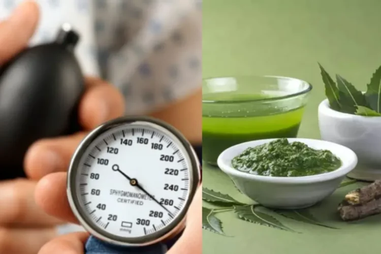 उच्च रक्तचाप का मुकाबला करने के लिए प्रभावी समाधान की तलाश है? आयुर्वेद की कोशिश करो!