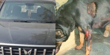 ग्रेटर नोएडा आदमी बच्चे को भौंकने के लिए एसयूवी के साथ 3 किमी डॉग करता है
