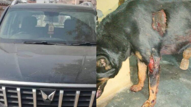 ग्रेटर नोएडा आदमी बच्चे को भौंकने के लिए एसयूवी के साथ 3 किमी डॉग करता है