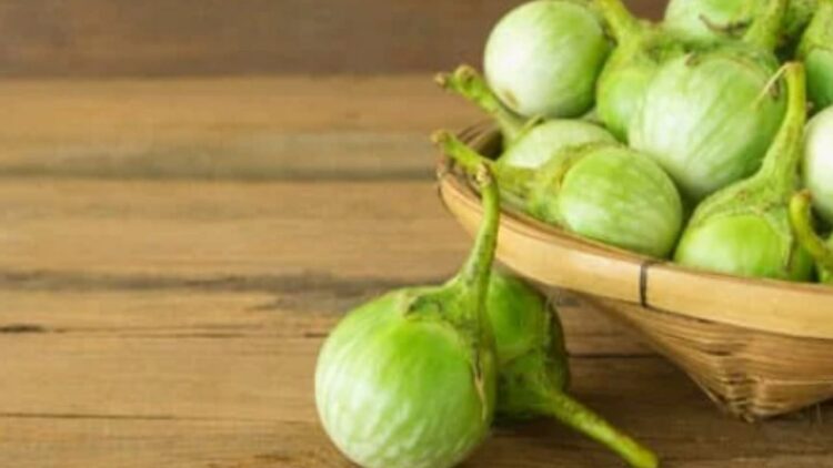 मट्टू गुल्ला: उडुपी के पवित्र हरे रंग की ब्रिंजल जो स्वाद, परंपरा और आशा का प्रतीक है