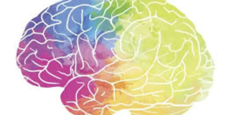 मस्तिष्क स्वास्थ्य: क्या मध्यम पीने से आपके मस्तिष्क को नुकसान हो सकता है? चौंकाने वाले अध्ययन से यह पता चलता है ...