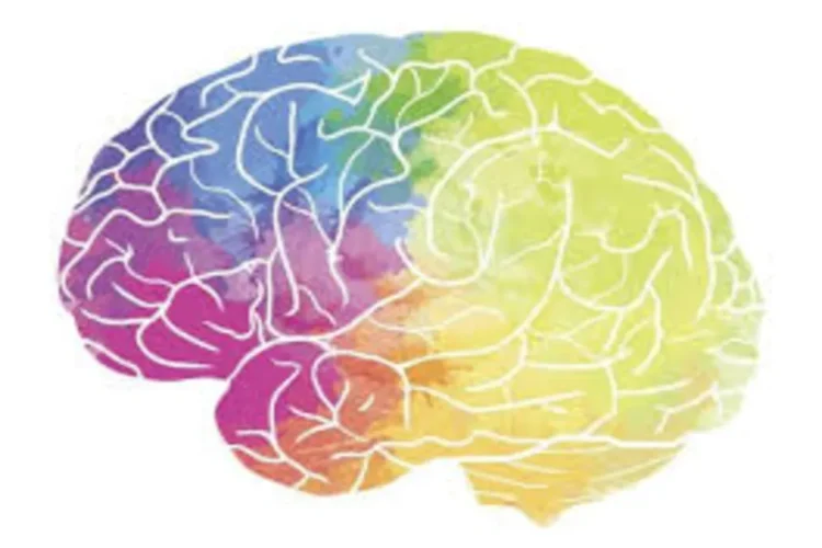 मस्तिष्क स्वास्थ्य: क्या मध्यम पीने से आपके मस्तिष्क को नुकसान हो सकता है? चौंकाने वाले अध्ययन से यह पता चलता है ...