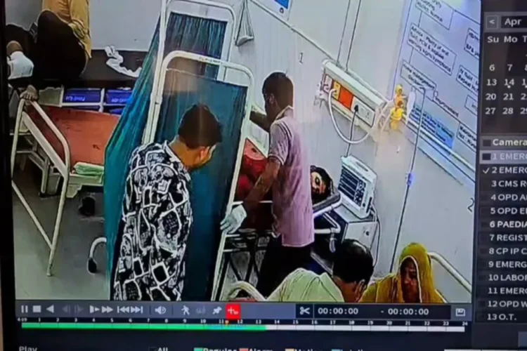 वायरल वीडियो अप: चौंकाने वाला! शमली में वार्ड बॉय भी मृत महिला को नहीं छोड़ता, शरीर से इसे छीनता है