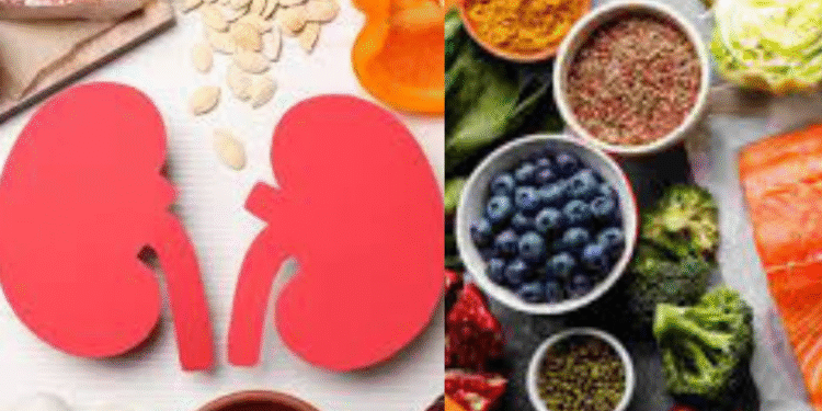 शरीर के उत्सर्जन पावरहाउस! 7 सुपर फूड्स जो आपके किडनी के स्वास्थ्य को सही आकार में रख सकते हैं