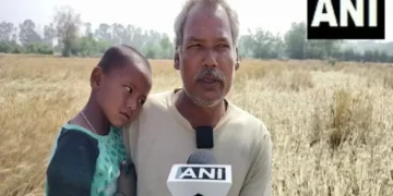 हरियाणा समाचार: भारी बारिश और तूफान हरियाणा में फसलों को तबाह कर देते हैं: किसानों की मांग जरूरी सरकारी राहत