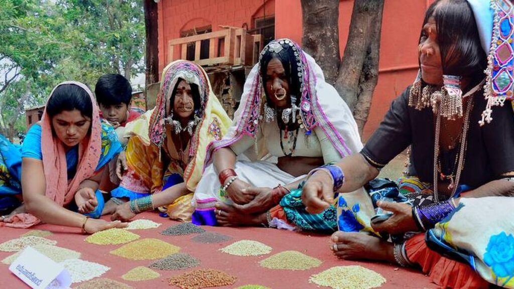 बाजरा से लेकर अविश्वास तक, एक फसल खट्टा हो गया