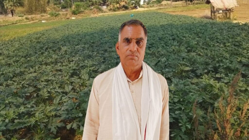 यूपी किसान आधुनिक तकनीकों के साथ टमाटर, ब्रिंजल, और आलू की खेती के द्वारा प्रति हेक्टेयर 75,000 शुद्ध लाभ कमाता है