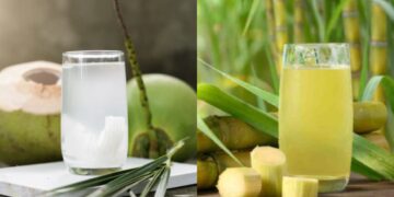 नारियल पानी बनाम गन्ने का रस: इस गर्मी में स्वस्थ रहने के लिए आपके लिए कौन सा फायदेमंद है?