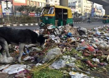 दिल्ली: MCD 'कचरा संग्रह शुल्क' निकालता है, निवासियों के लिए संपत्ति कर एमनेस्टी योजना को रोल करता है