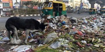 दिल्ली: MCD 'कचरा संग्रह शुल्क' निकालता है, निवासियों के लिए संपत्ति कर एमनेस्टी योजना को रोल करता है