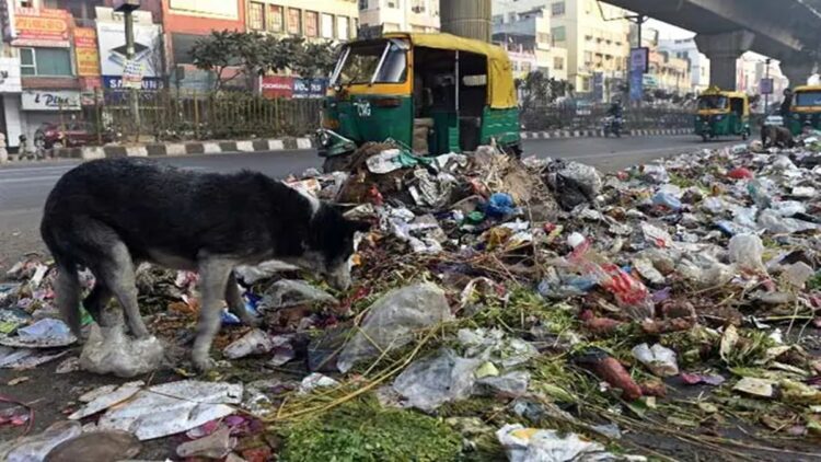 दिल्ली: MCD 'कचरा संग्रह शुल्क' निकालता है, निवासियों के लिए संपत्ति कर एमनेस्टी योजना को रोल करता है