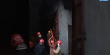 दिल्ली: बवाना में कारखाने में आग टूट जाती है, 17 फायर टेंडर स्पॉट पर | वीडियो