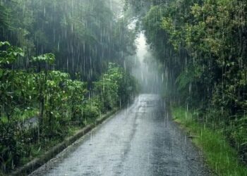 मानसून सामान्य तारीख से आठ दिन पहले केरल पहुंचता है, 2009 के बाद से जल्द से जल्द आगमन | मौसम के अपडेट की जाँच करें