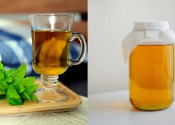 कोम्बुचा के लिए पेपरमिंट चाय: 5 सर्वश्रेष्ठ पेय जो ब्लोटिंग को कम करने में मदद कर सकते हैं