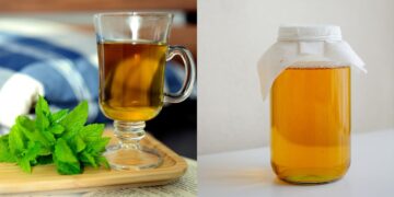 कोम्बुचा के लिए पेपरमिंट चाय: 5 सर्वश्रेष्ठ पेय जो ब्लोटिंग को कम करने में मदद कर सकते हैं