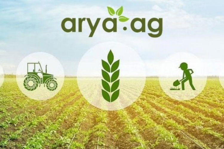 Arya.ag FY25 में ₹ 32 CR पैट की रिपोर्ट करता है, सेक्टोरल हेडविंड के बावजूद बढ़ता है