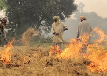 CAQM ने दिल्ली-एनसीआर में स्टबल को खत्म करने के लिए 19-पॉइंट एक्शन प्लान का अनावरण किया