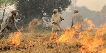 CAQM ने दिल्ली-एनसीआर में स्टबल को खत्म करने के लिए 19-पॉइंट एक्शन प्लान का अनावरण किया