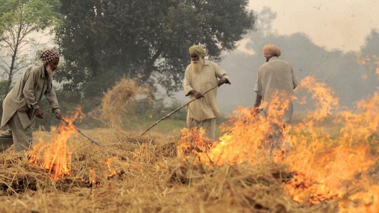 CAQM ने दिल्ली-एनसीआर में स्टबल को खत्म करने के लिए 19-पॉइंट एक्शन प्लान का अनावरण किया