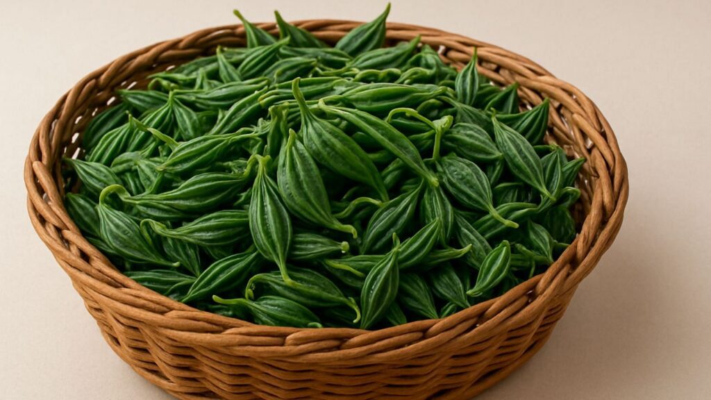 Cymbal Vine: इसके आश्चर्यजनक स्वास्थ्य लाभों और संरक्षण की तत्काल आवश्यकता का खुलासा करना